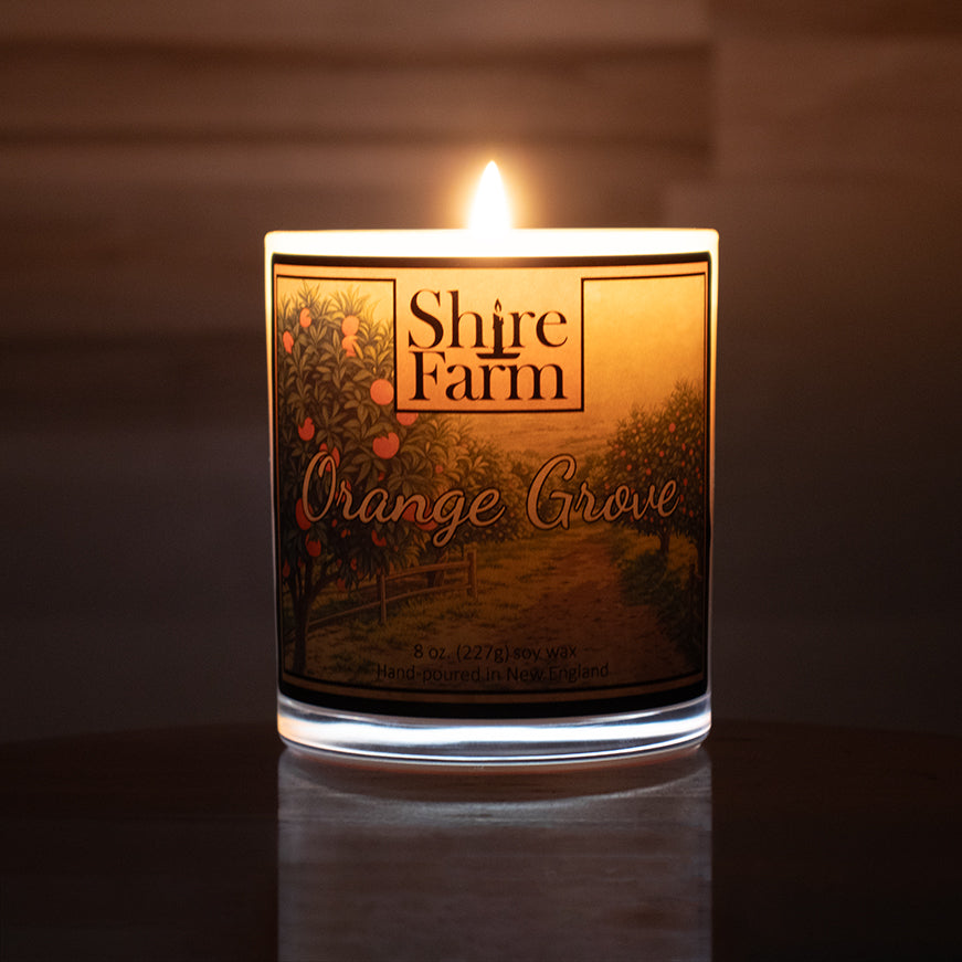 Orange Grove