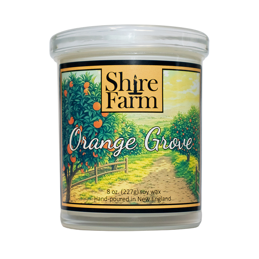 Orange Grove