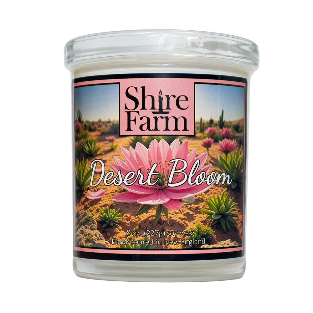 Desert Bloom