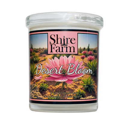 Desert Bloom